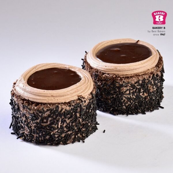 Chocolate Fudge x 2